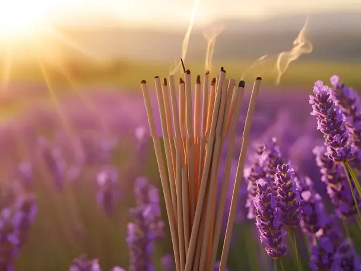 8 عود با رایحه لوندر (اسطوخودوس) بی نظیر